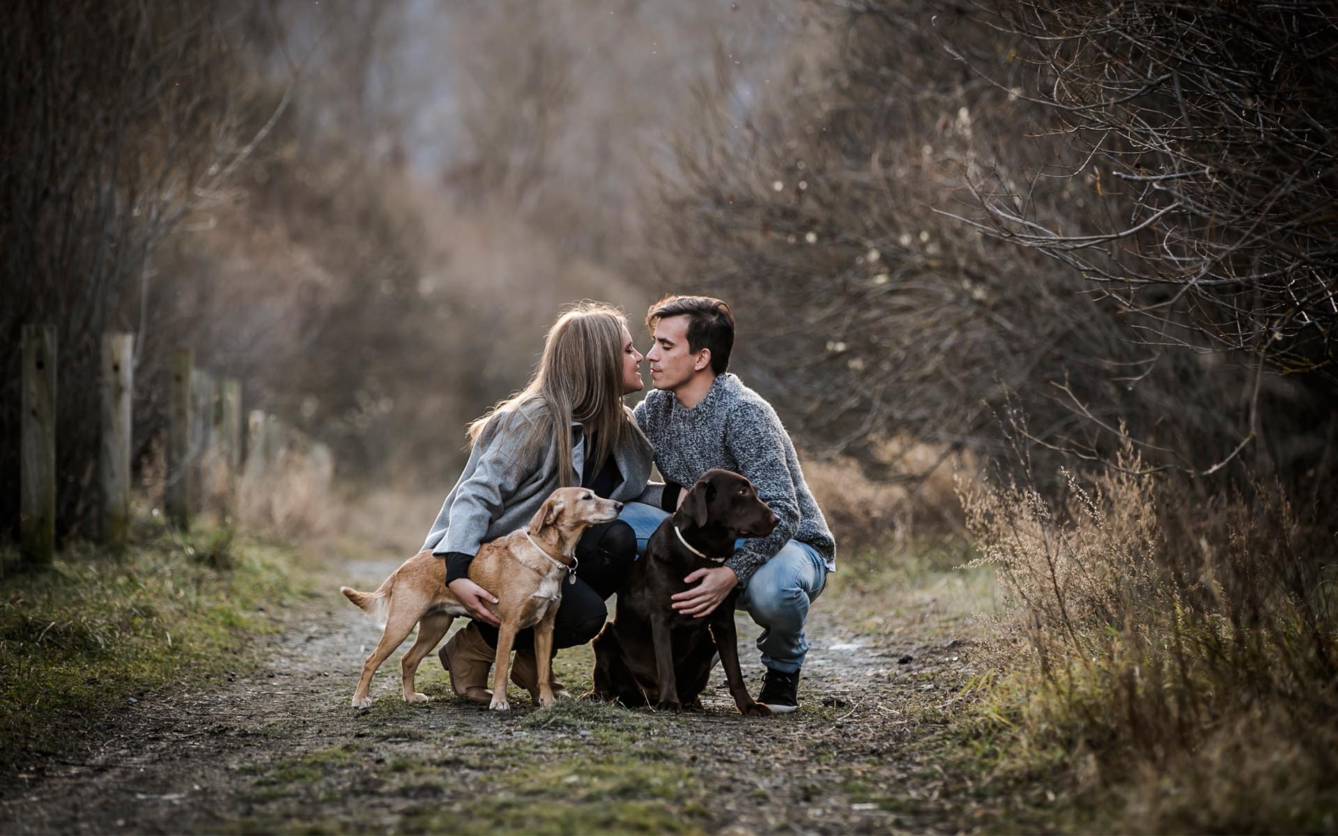 preboda con perros